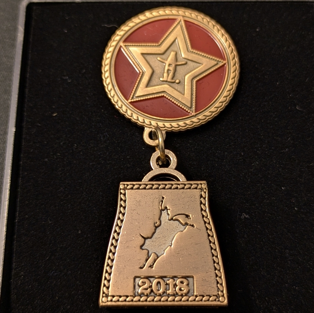 2018 Houston rodeo pin
